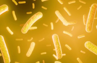 Species-Specific Probiotics are Better for Your Dog