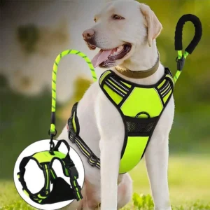 2pcs Reflective Dog Harness And 1.5 Meter Lea...