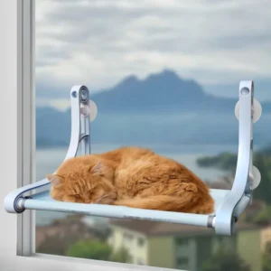 Cordless Cat Window Perch,Comfortable & ...
