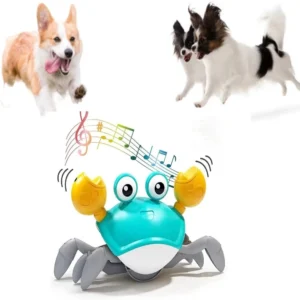 Engaging Interactive Dancing Crab Dog Toy wit...
