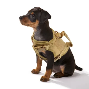 Tactical Puppy Harness Leash Small Dogs Cats ...