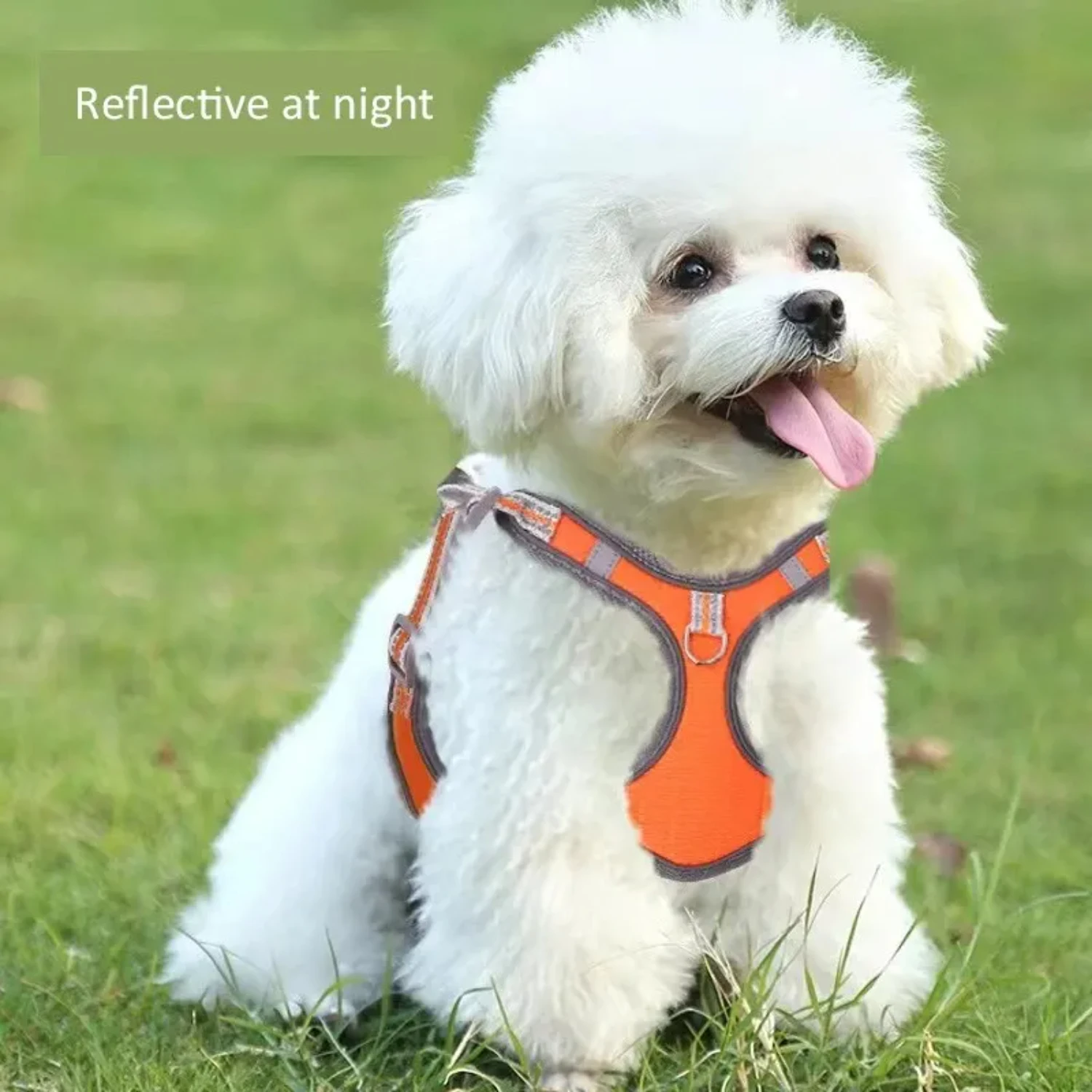 Pet Dog Harness Adjustable Dog Leash and Collar Set Step-in Dog Harness Reflective Pet Dog Vest Small Medium Puppy