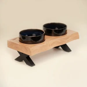 Raised Cat Ceramic Bowls for Small and Medium...