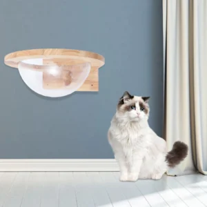 Cat Space Capsule Small Pets Bed Toy Funny Fu...