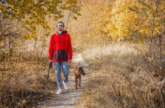How Often Should You Walk Your Dog? Our Vet Explains