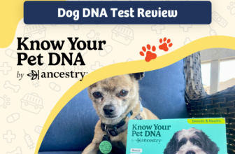 Ancestry Know Your Pet DNA Review 2025: Get to Know Your Dog Better than Ever