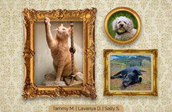 The Diamond Family Album Yearbook